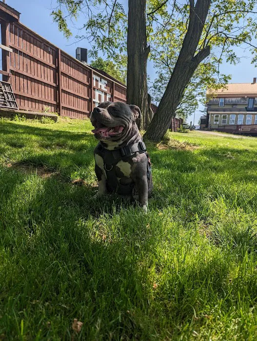 Robinson's Lakeside Campgrounds Picture 5