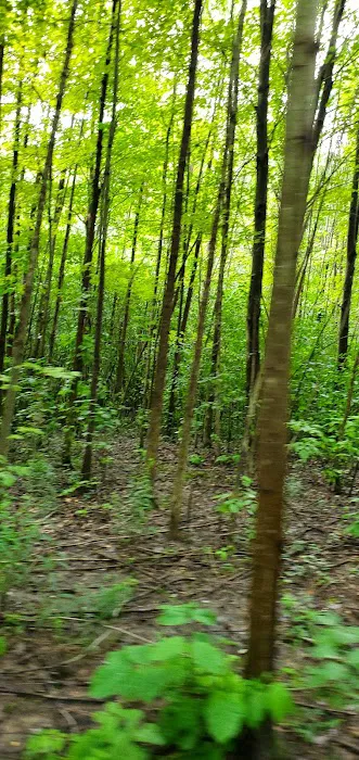 Jan's Campground Picture 10