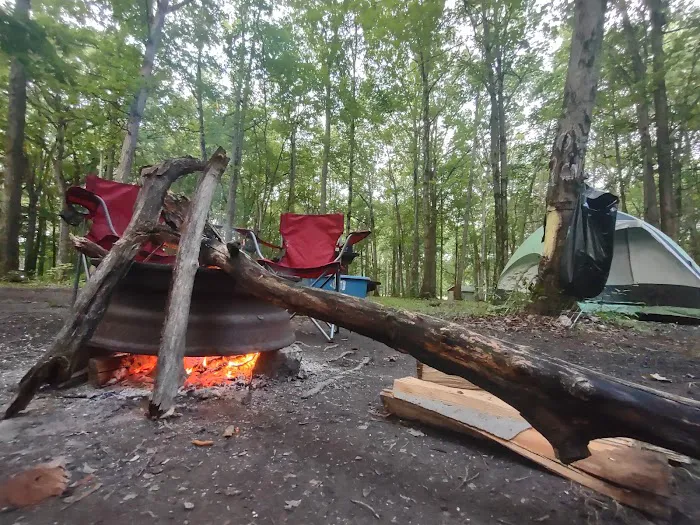 Beautiful Willow Lake Picture 4