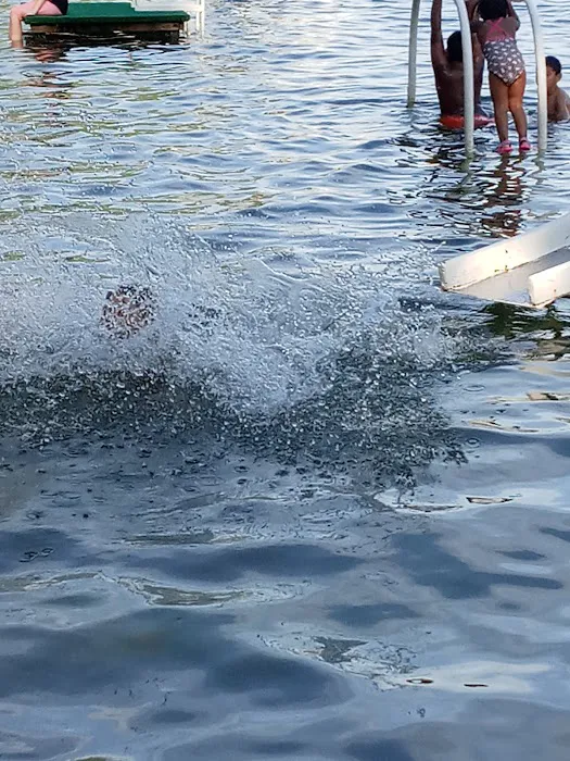 Beautiful Willow Lake Picture 2