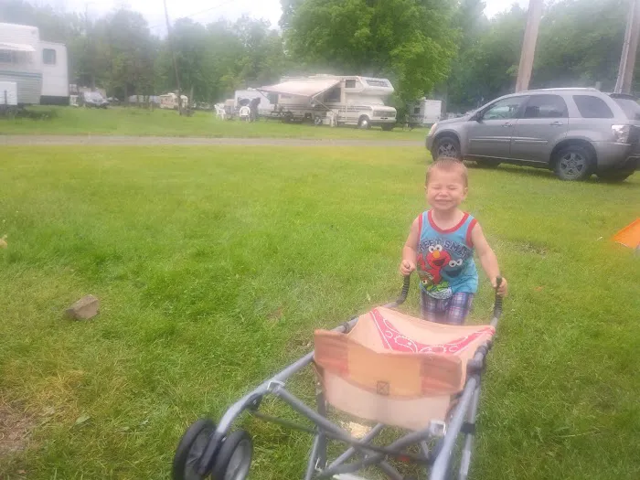 Beautiful Willow Lake Picture 10