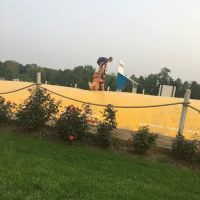 Lake Milton / Berlin Lake KOA Holiday ico