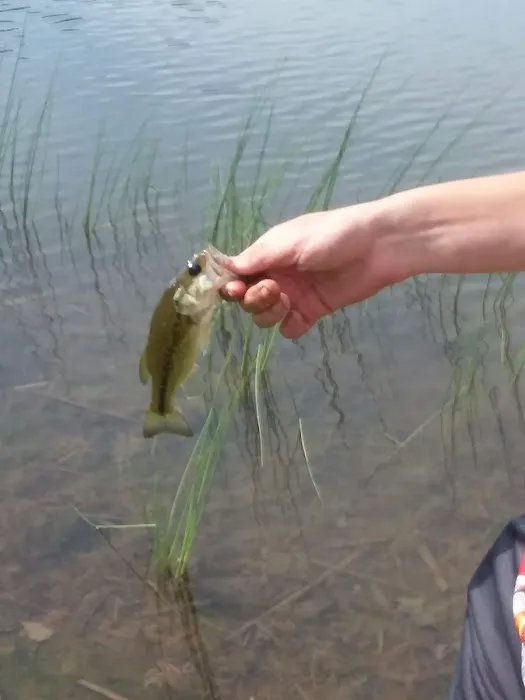 Chaparral Family Campground Picture 3