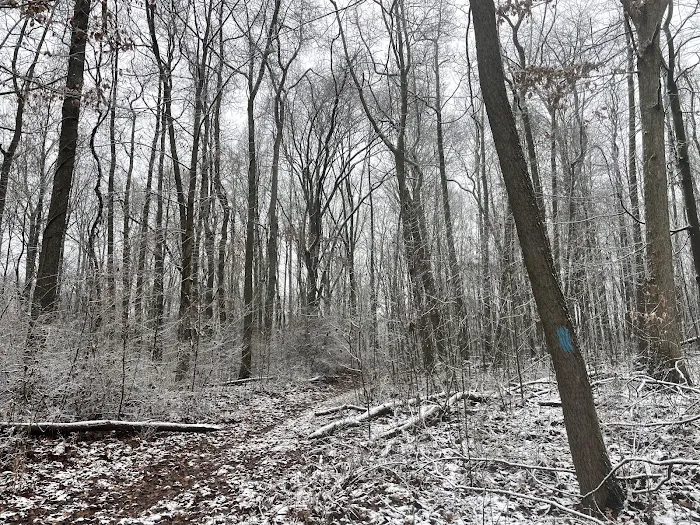 Mines and Meadows Campground Picture 3