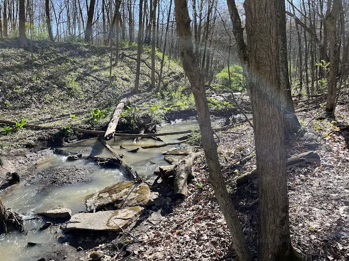 Mines and Meadows Campground Picture 10