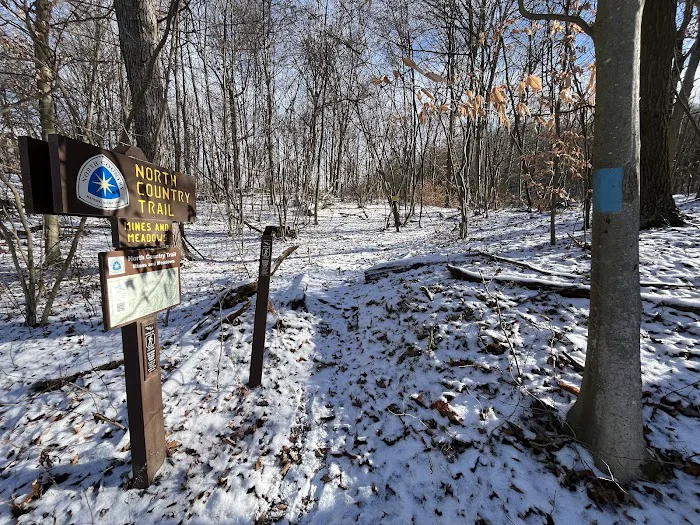 Mines and Meadows Campground Picture 5