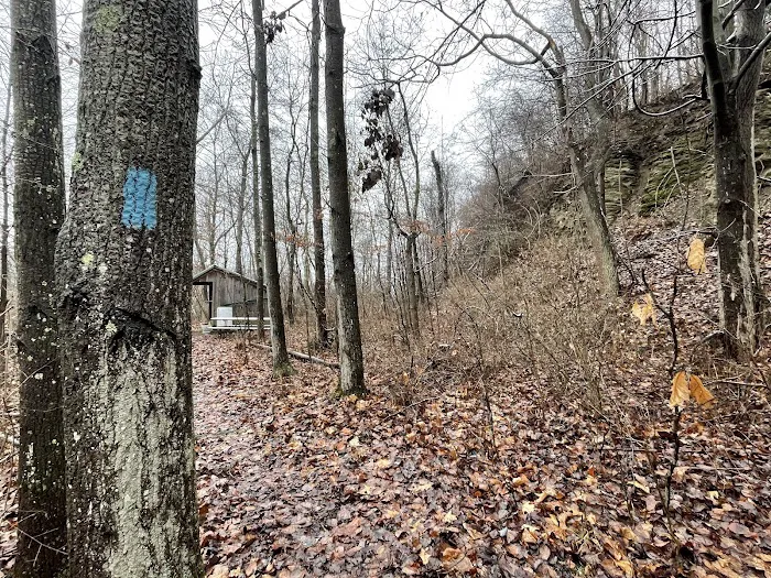 Mines and Meadows Campground Picture 9