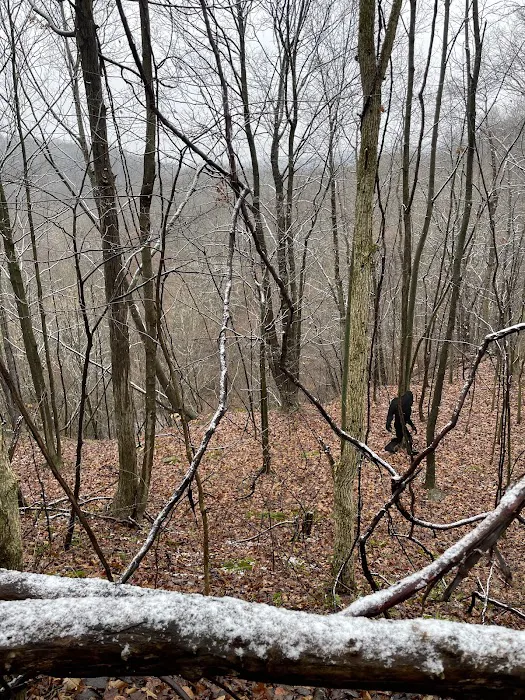 Mines and Meadows Campground Picture 8