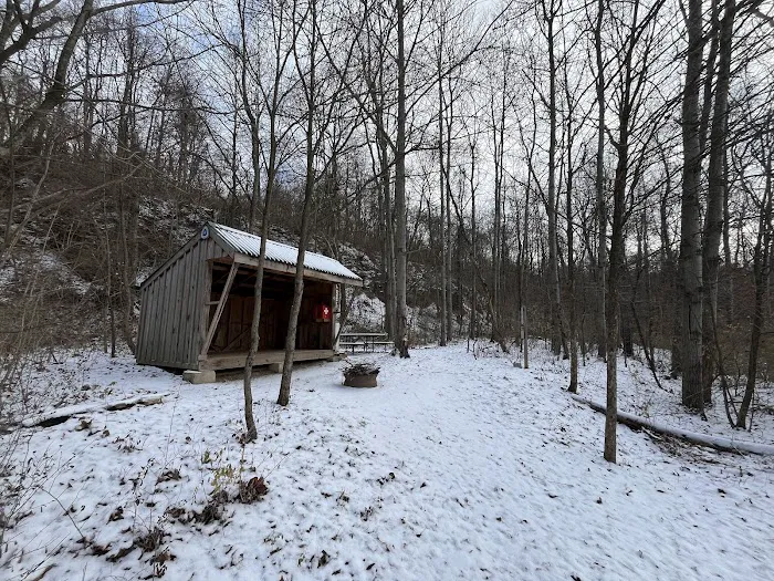 Mines and Meadows Campground Picture 2