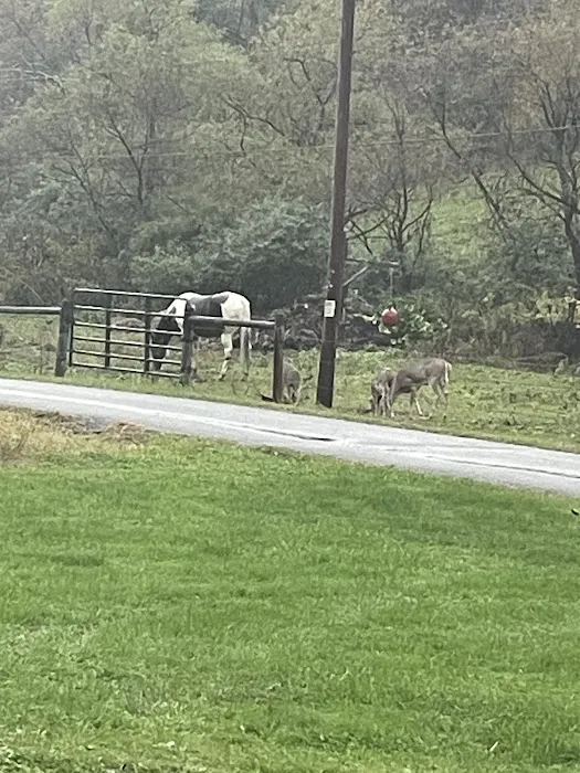 Meighen RV Park Picture 3