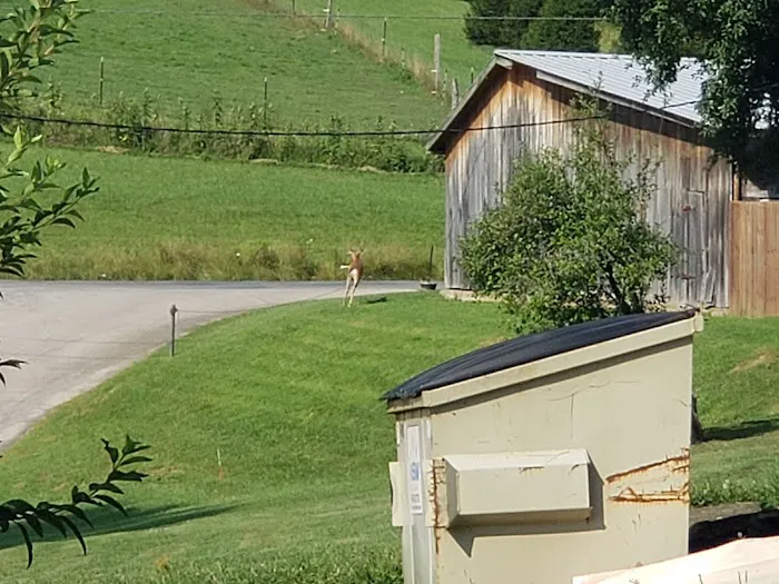 Indian Meadows Campground Picture 7