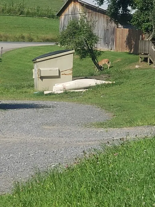 Indian Meadows Campground Picture 6