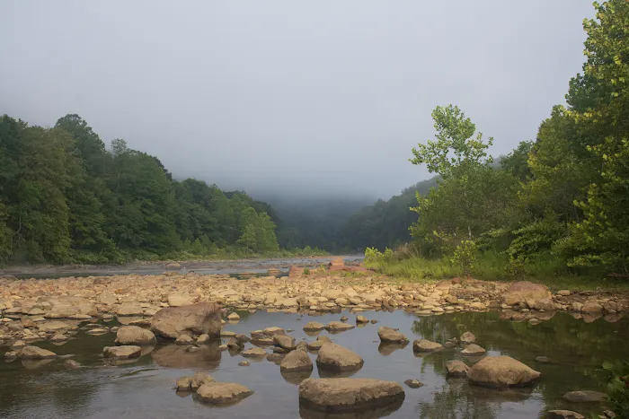 Friends of the Cheat Campground Picture 10
