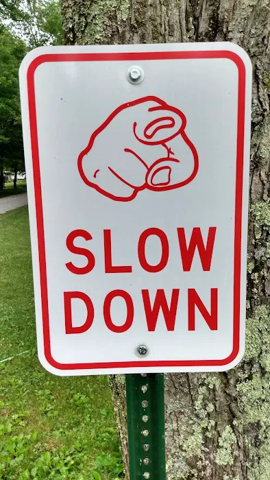 White Thorn Lodge Picture 8