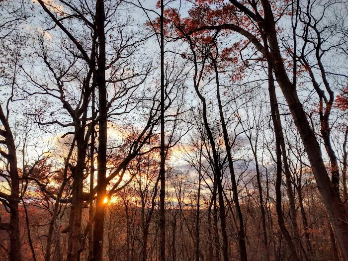 Crawford's Camping Park Picture 5