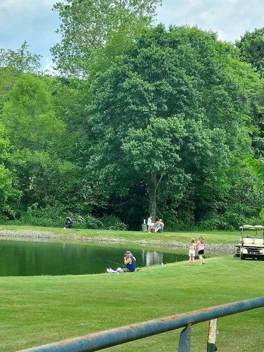 Crawford's Camping Park Picture 10