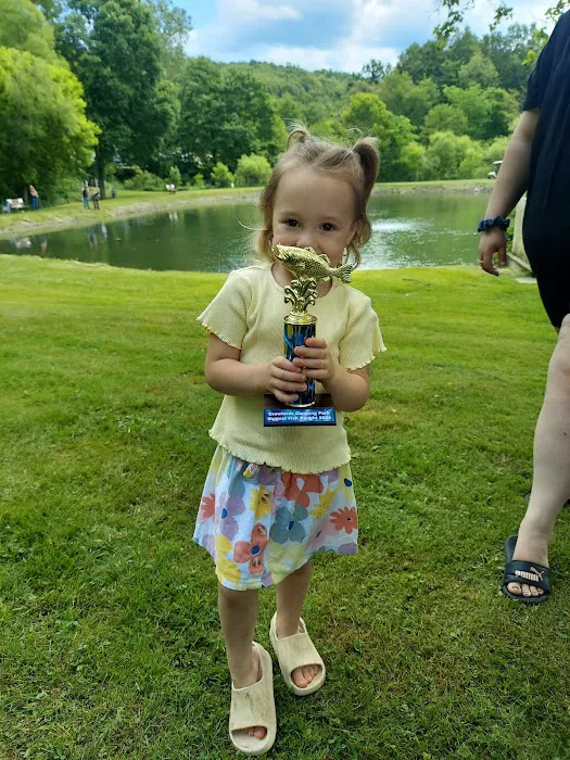 Crawford's Camping Park Picture 8