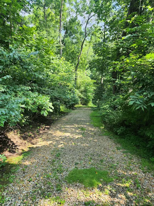 Harrison State Forest Ronsheim Campground Picture 2