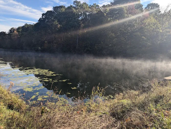 Harrison State Forest Ronsheim Campground Picture 7