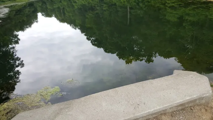 Harrison State Forest Ronsheim Campground Picture 4