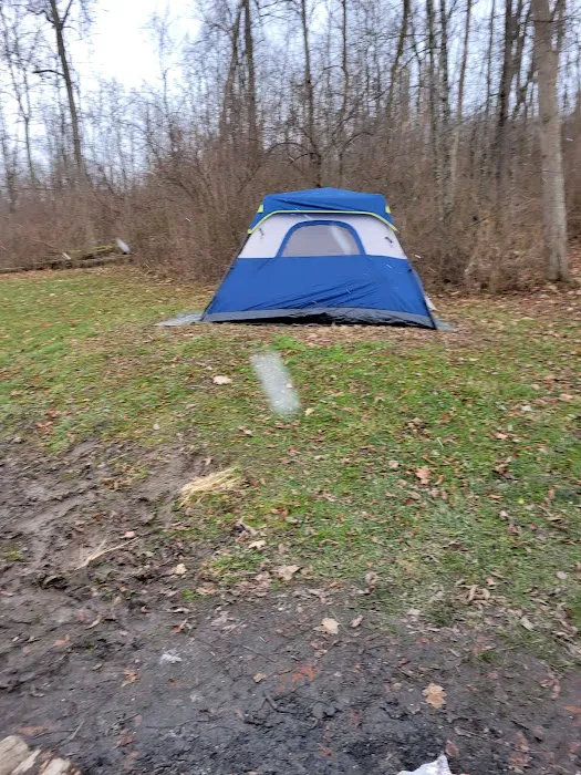 Harrison State Forest Ronsheim Campground Picture 8