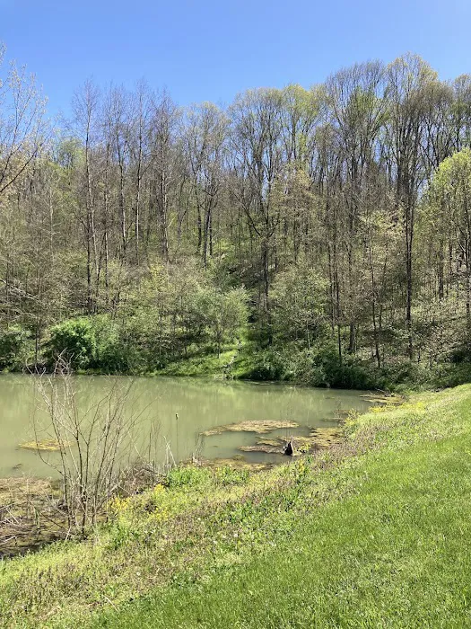 Trailriders Campground - Harrison State Forest Picture 3