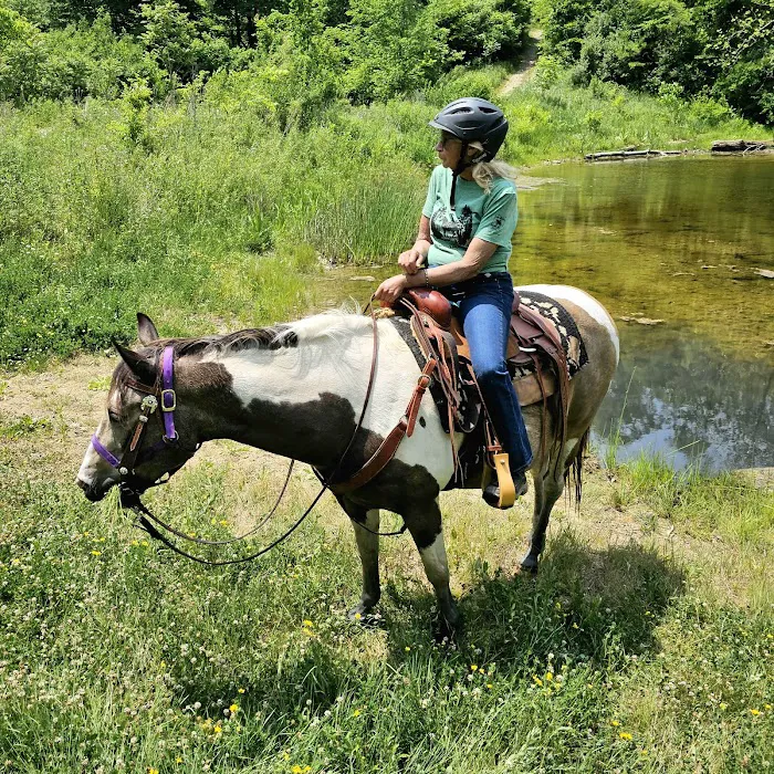 Trailriders Campground - Harrison State Forest Picture 7