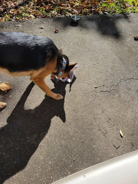 Trailriders Campground - Harrison State Forest Picture 9