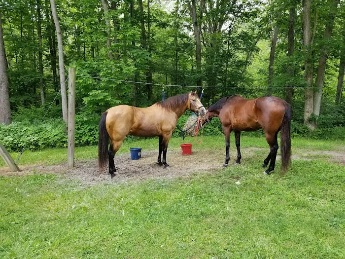 Trailriders Campground - Harrison State Forest Picture 4
