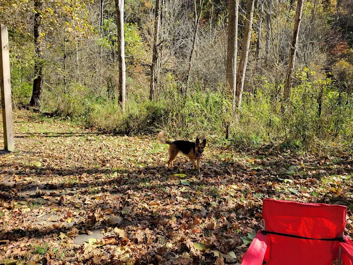 Trailriders Campground - Harrison State Forest Picture 8