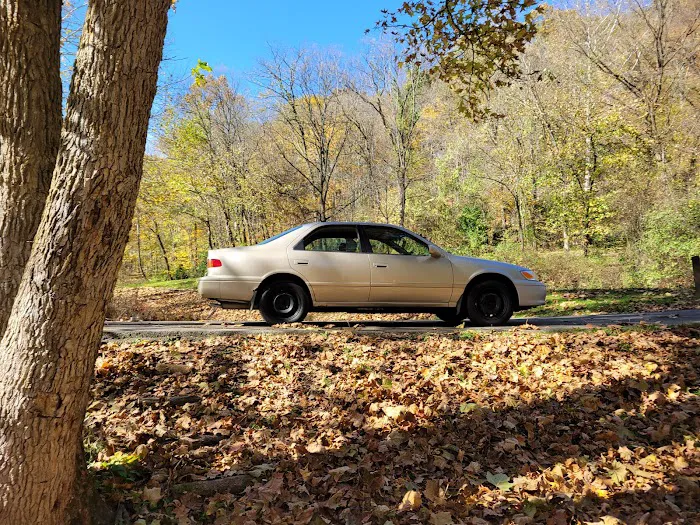 Trailriders Campground - Harrison State Forest Picture 6