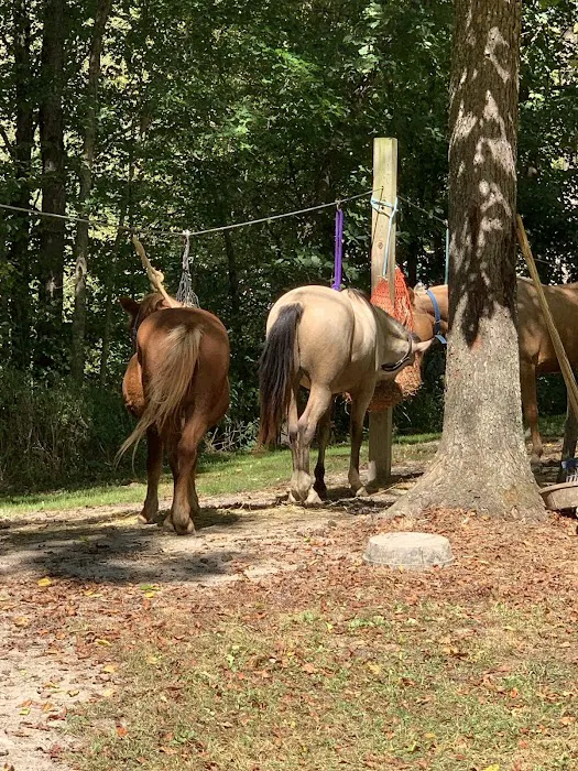 Trailriders Campground - Harrison State Forest Picture 5
