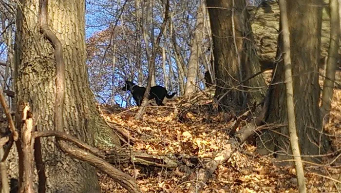 Indian Brave Campground Picture 2