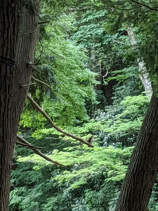 Horseshoe Recreation and Campground Area Picture 1