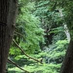 Horseshoe Recreation and Campground Area