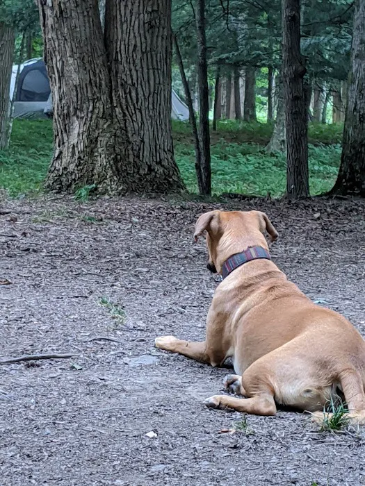 Horseshoe Recreation and Campground Area Picture 4