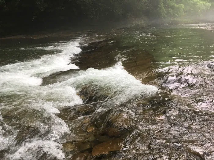 Horseshoe Recreation and Campground Area Picture 7