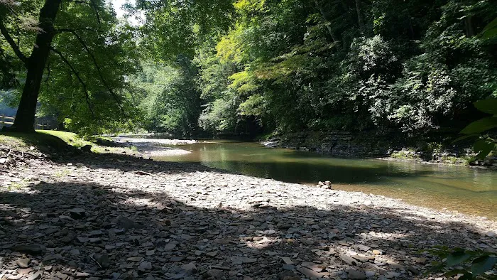 Horseshoe Recreation and Campground Area Picture 8