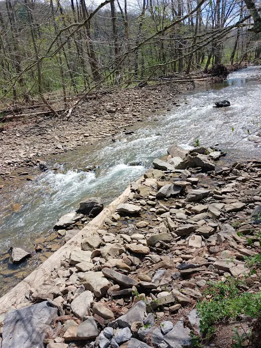 Semper Fi Cabin Parsons WV Picture 2