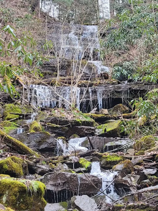 Brooklyn Heights Riverfront Campground Picture 10