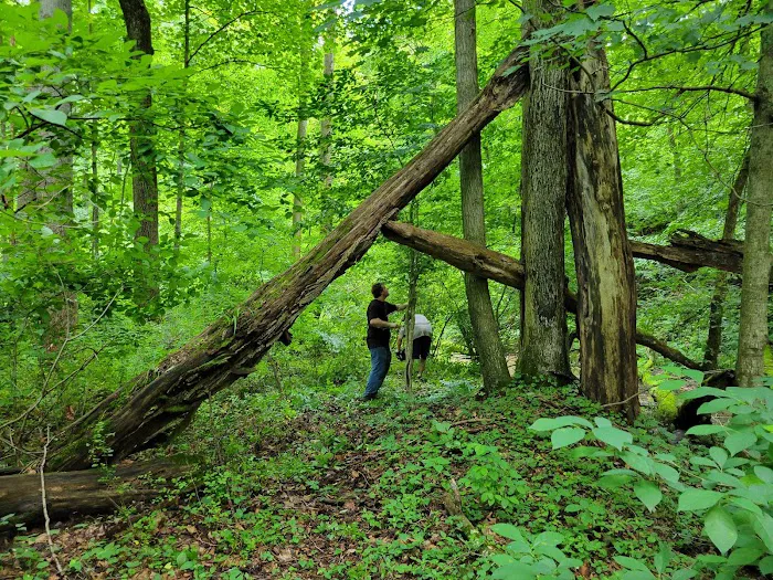 Brooklyn Heights Riverfront Campground Picture 5
