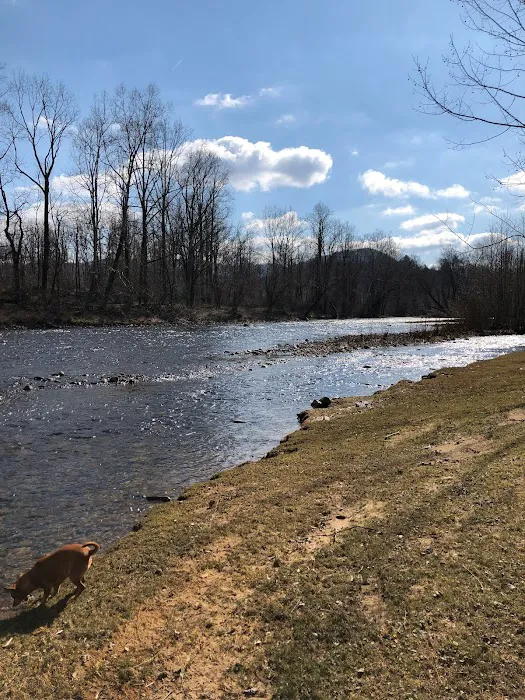 Five River Campgrounds Picture 1