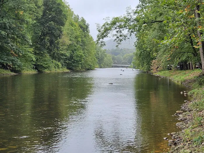 Five River Campgrounds Picture 2