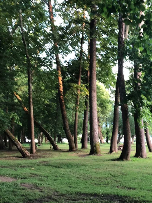 Five River Campgrounds Picture 7