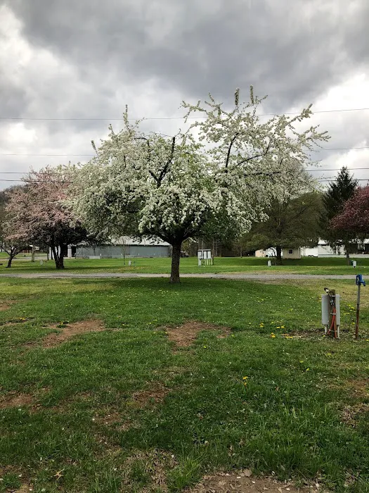 Five River Campgrounds Picture 3