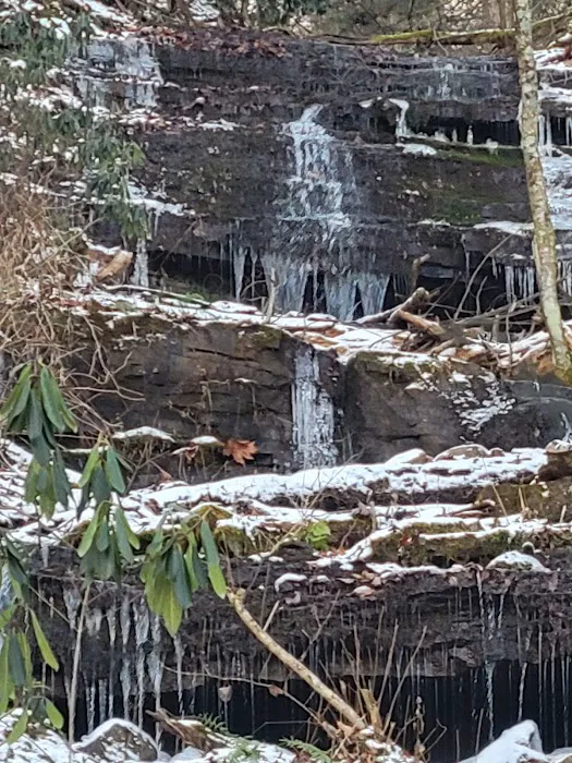 Brooklyn Heights Riverfront Campground Picture 2