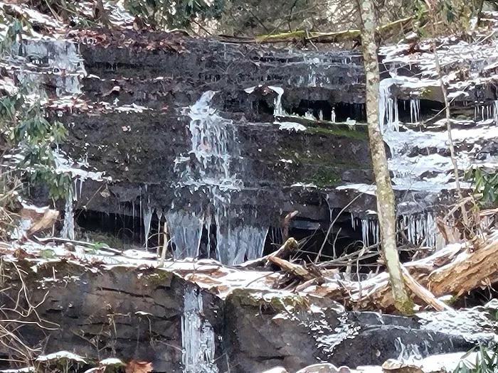 Brooklyn Heights Riverfront Campground Picture 3
