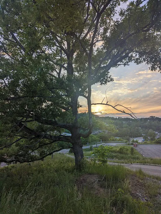 Fairmont Hills RV Park, Back Side Picture 4