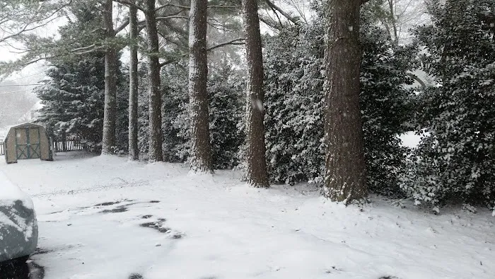 Camptown Campground Picture 7