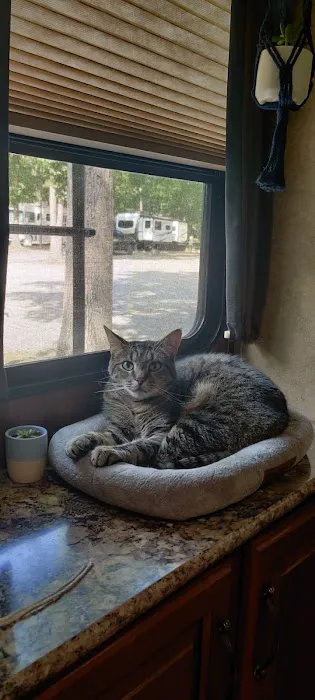 Camptown Campground Picture 5